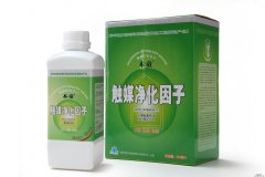 凈化空氣用甲醛清除劑