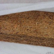 棕櫚床墊真的含有甲醛嗎？