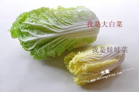 白菜和娃娃菜